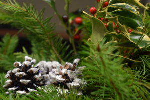 A close up of pine cones and plants