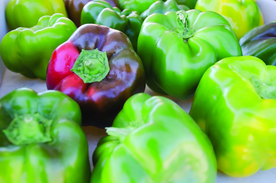 A group of green peppers sitting next to each other.