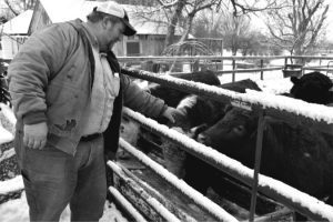 A man standing next to a fence with cows.