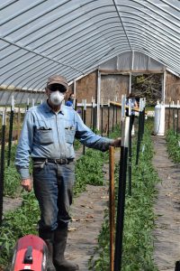 A man wearing a mask standing in an enclosed greenhouse.