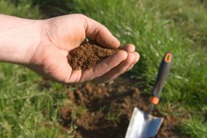 A person holding dirt in their hand and digging.