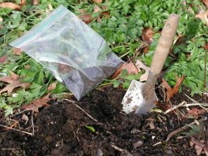 A person holding dirt in their hand and digging.