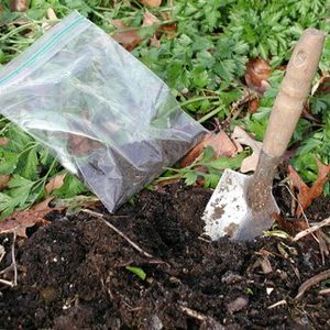 A shovel and bag in the ground with weeds.