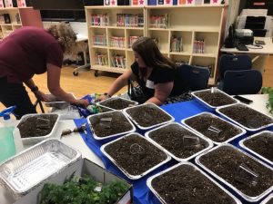 A couple of people that are working on some plants