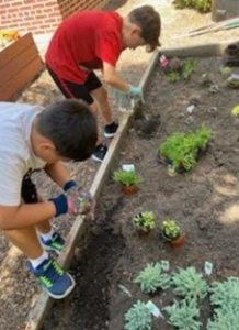 Two people working in a garden with plants.