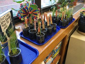 A table topped with lots of plants and pots.