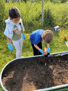 Two children in blue gloves are looking at a garden.