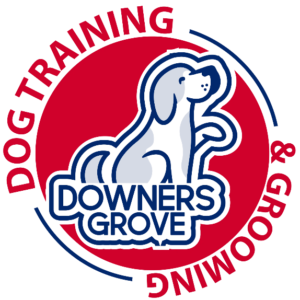 A blue dog is sitting in front of the words " dog training and grooming ".
